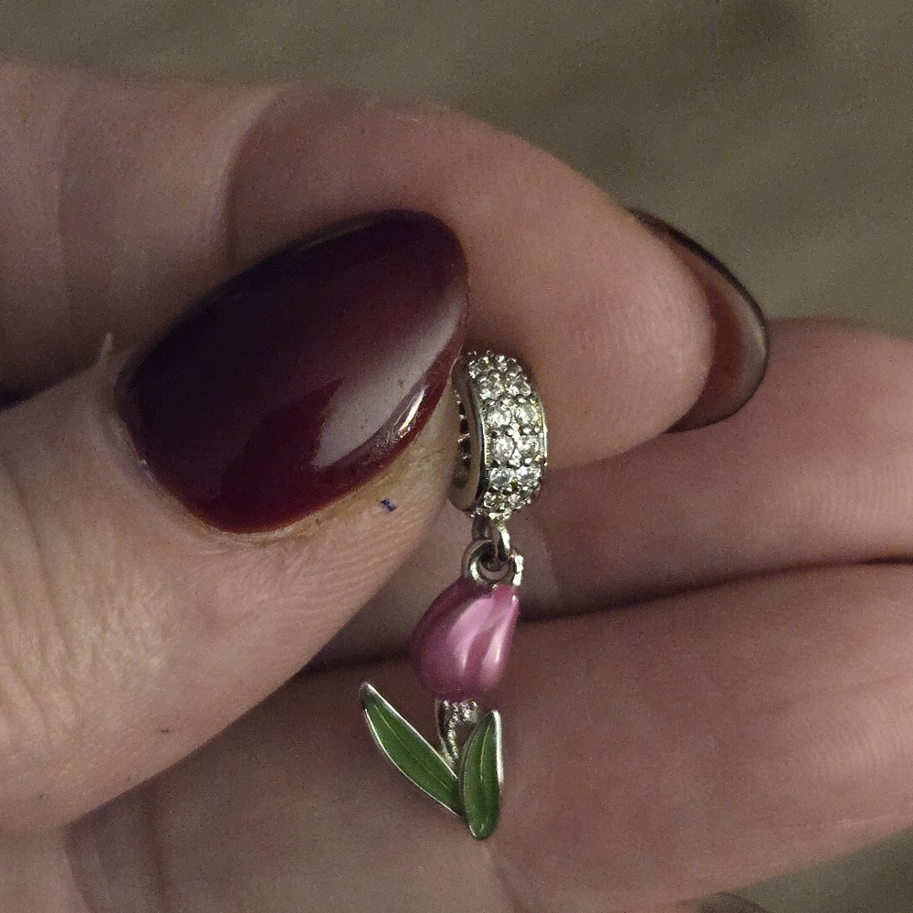 Elegant Pink and Silver Charm